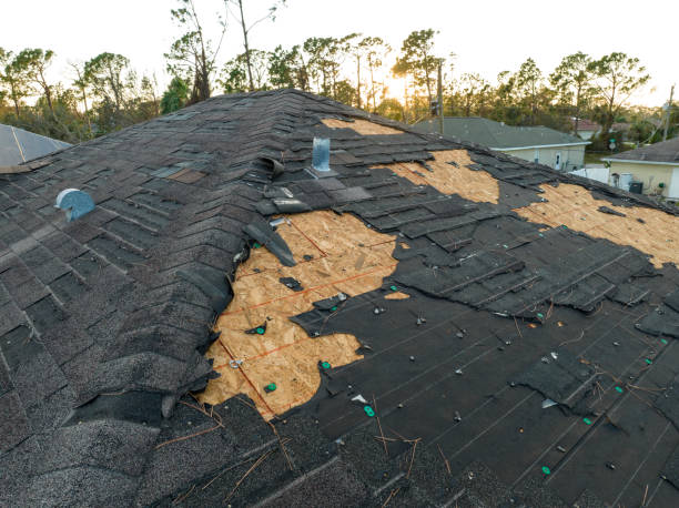 Best Gutter Installation and Repair  in Chisholm, ME